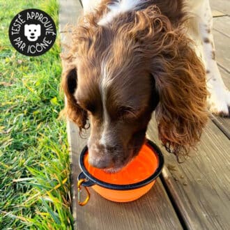 Gamelle de voyage pour chien pliable en silicone avec mousqueton