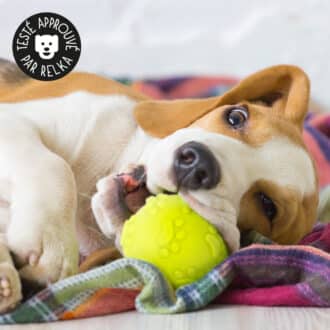 Jouet balle sonore en caoutchouc pour la mastication du chien et du chiot