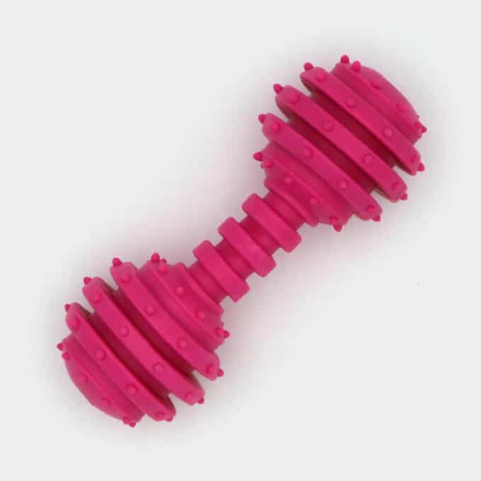 Jouet haltère sonore en caoutchouc pour la mastication du chien et du chiot