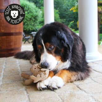 Peluche qui couine pour le chien