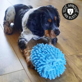 Jouet peluche hérisson bleu doux pour le chien et le chiot