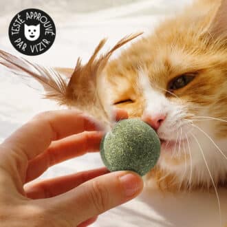 Balle ou boule d'herbe à chat cataire avec plumes