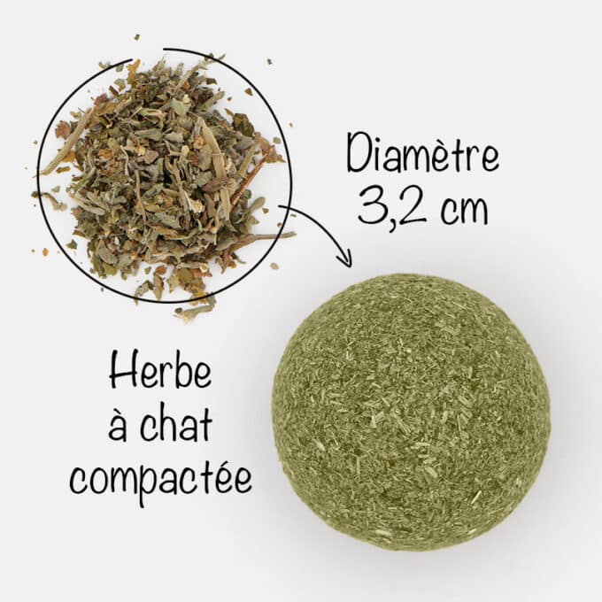 balle-boule-cataire-catnip-herbe-chat-12 Balle d'herbe à chat cataire