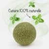 balle-boule-cataire-catnip-herbe-chat-13 Balle d'herbe à chat cataire