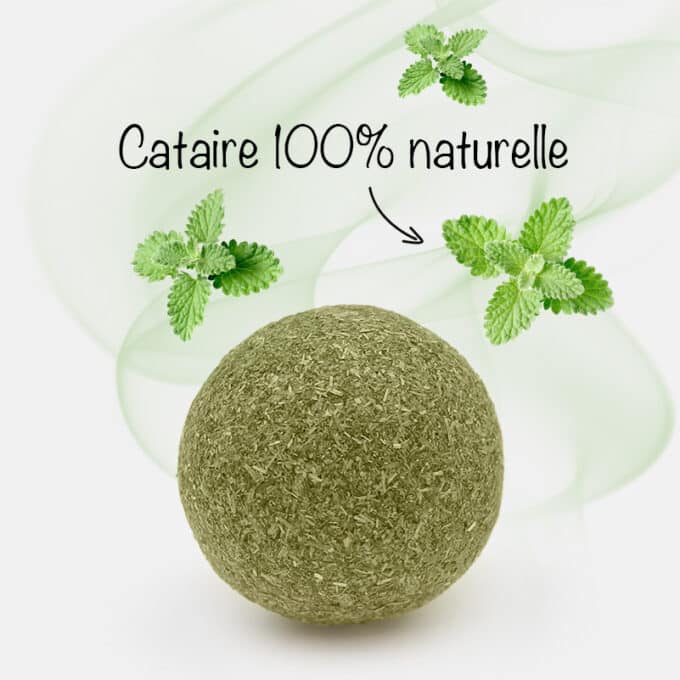 balle-boule-cataire-catnip-herbe-chat-13 Balle d'herbe à chat cataire