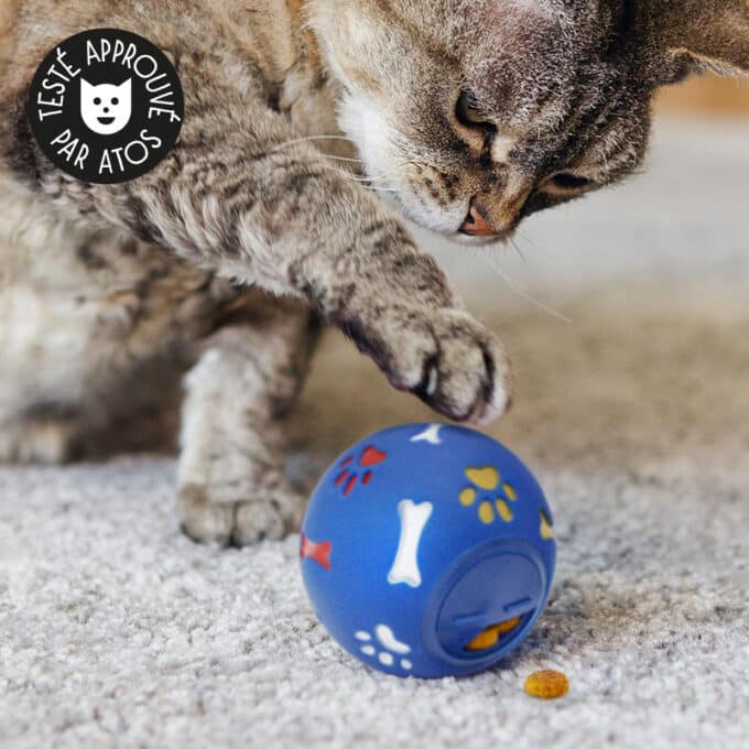 balle-distributrice-croquettes-friandrises-chat Balle distributrice de croquettes ou friandises pour chat
