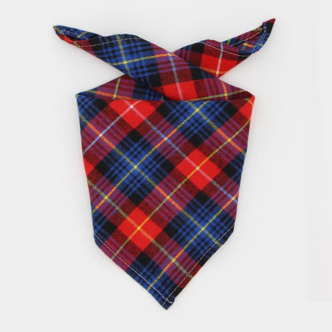 bandana pour chien foulard à carreaux tartan