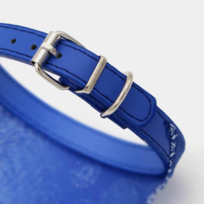 collier foulard bandana mexicain pour le chien, le chiot ou le chat