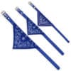 Collier bandana pour chien foulard mexicain