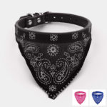 Collier bandana pour chien foulard mexicain