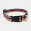 collier-coton-sport-original-moderne-chien-chiot-1 collier en coton moderne avec clip argenté pour chien et chiot