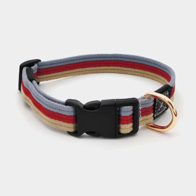 collier-coton-sport-original-moderne-chien-chiot-1 collier en coton moderne avec clip argenté pour chien et chiot