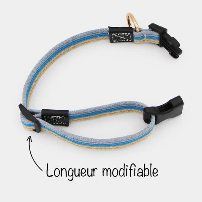collier-coton-sport-original-moderne-chien-chiot-3 collier en coton moderne avec clip argenté pour chien et chiot
