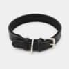 collier-cuir-argent-chien-souple-noir collier noir souple en cuir et argent pour le chien et le chiot