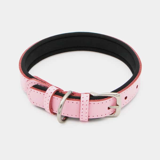 collier souple en cuir et argent pour le chien et le chiot