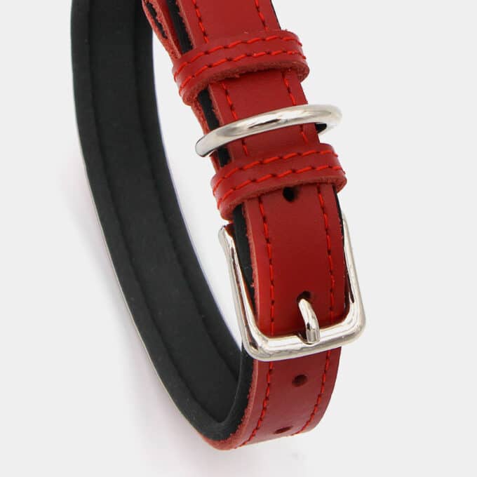 collier souple en cuir et argent pour le chien et le chiot