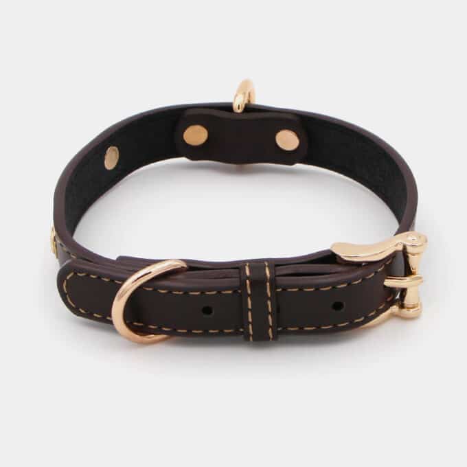 collier-cuir-dore-chien-marron collier en cuir métal doré pour le chien et le chiot