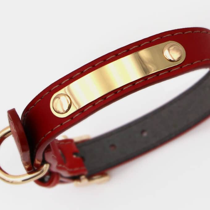 collier-cuir-dore-chien-rouge-detail collier en cuir métal doré pour le chien et le chiot
