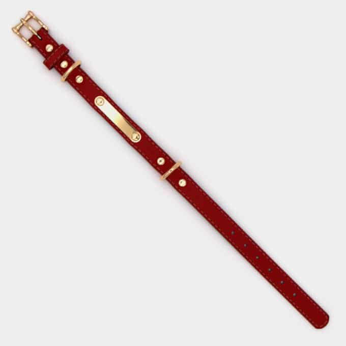 collier-cuir-dore-chien-rouge2 collier en cuir métal doré pour le chien et le chiot