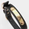collier-cuir-metal-dore-chien-chiot-noir collier en cuir métal doré pour le chien et le chiot