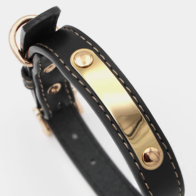 collier-cuir-metal-dore-chien-chiot-noir collier en cuir métal doré pour le chien et le chiot