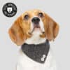 Collier bandana gris chiné pour chien