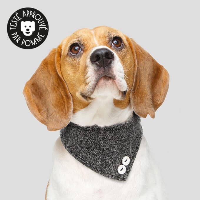 Collier bandana gris chiné pour chien