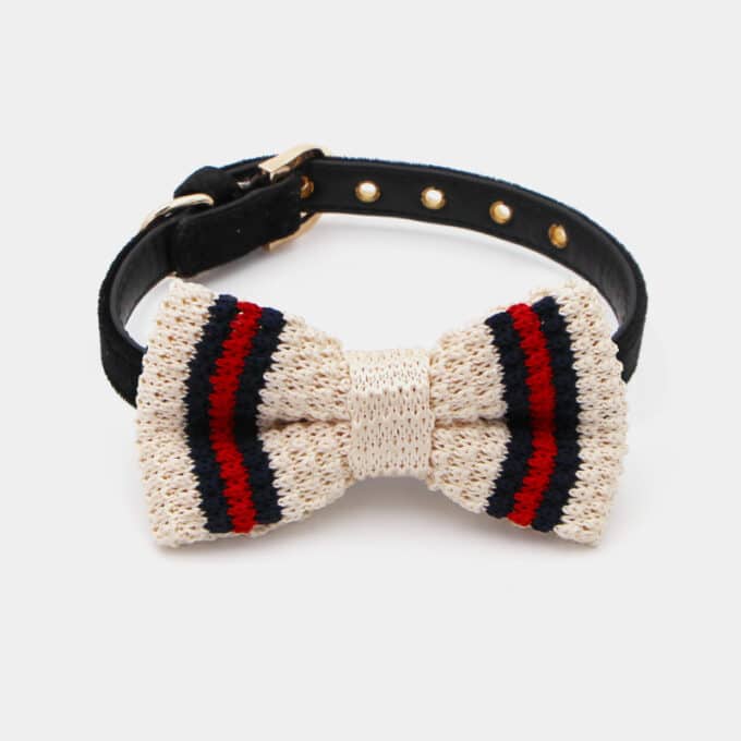 collier noeud papillon pour le chien, le chiot ou le chat