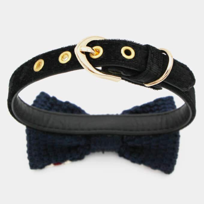 collier noeud papillon pour le chien, le chiot ou le chat