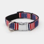 collier USA en nylon avec clip argenté pour chien et chiot