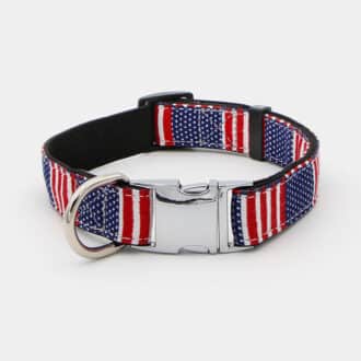 collier USA en nylon avec clip argenté pour chien et chiot