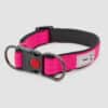 Collier réfléchissant pour chien couleur fluo rose