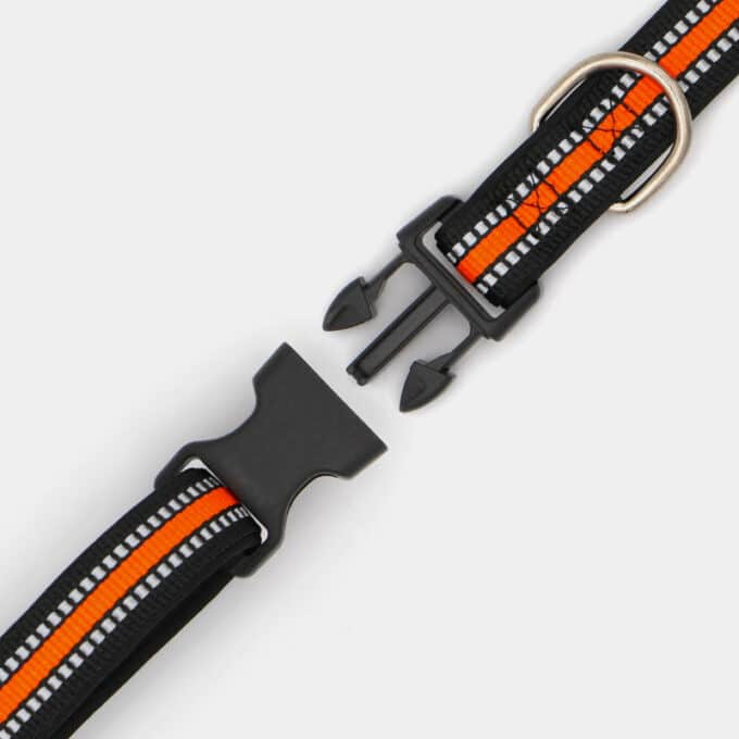 collier-sport-chien-chiot-nylon-reflechissant-clip-attache collier sport réfléchissant en nylon avec clip pour chien et chiot