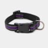collier-sport-chien-chiot-nylon-reflechissant-clip-violet collier sport réfléchissant en nylon avec clip pour chien et chiot