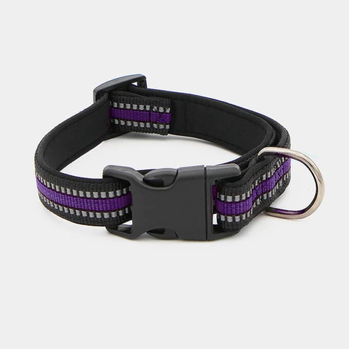 collier-sport-chien-chiot-nylon-reflechissant-clip-violet collier sport réfléchissant en nylon avec clip pour chien et chiot