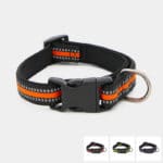 collier sport réfléchissant en nylon avec clip pour chien et chiot