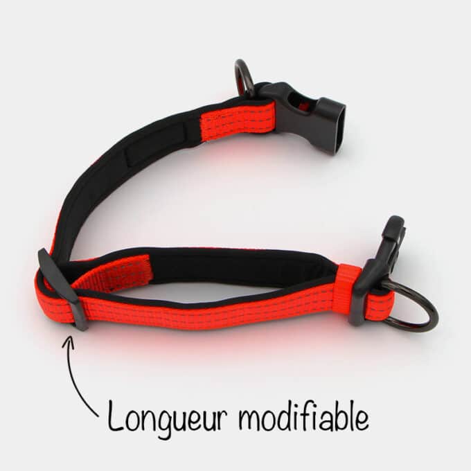collier sport fluo réfléchissant en nylon avec clip pour chien et chiot