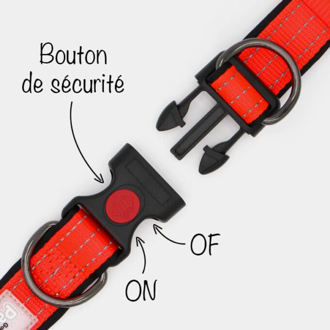 collier sport fluo réfléchissant en nylon avec clip pour chien et chiot