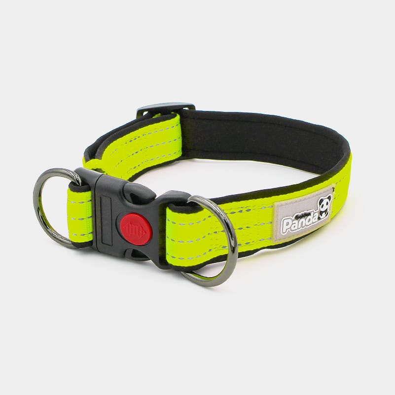 Collier lumineux chien, à LED, fluo ou réfléchissant