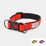 collier sport fluo réfléchissant en nylon avec clip pour chien et chiot