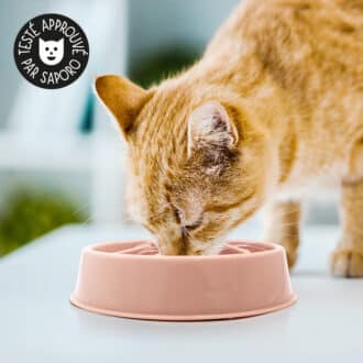 Meilleure gamelle anti-glouton chat