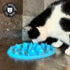 gamelle anti-glouton pour chat plateau silicone