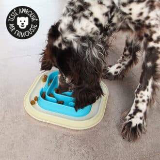 gamelle plateau antiglouton pour forcer votre chien ou chiot à manger lentement