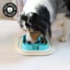 gamelle-plateau-antiglouton-croquettes-manger-lentement-chien-chiot-7 Gamelle anti-glouton en plateau pour chien