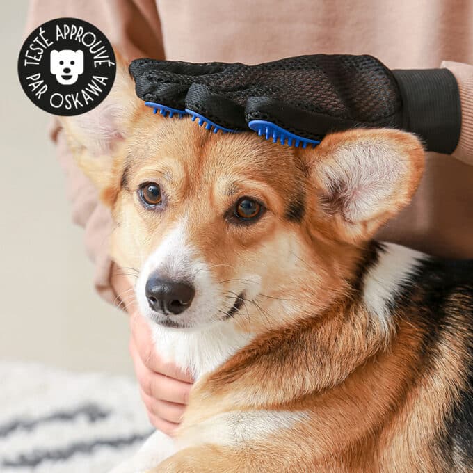 gant-brosse-chat-chien-2 Gant de brossage pour chat et chien