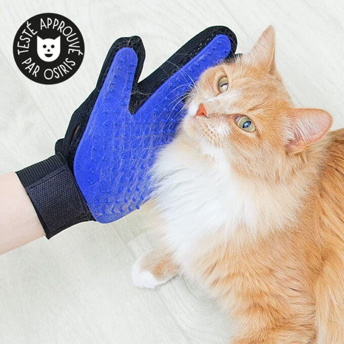 gant-brosse-chat-chien-3 Gant de brossage pour chat et chien