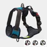 harnais pour chien qui tire anti-traction