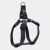 harnais baudrier pour chien qui n'étrangle pas