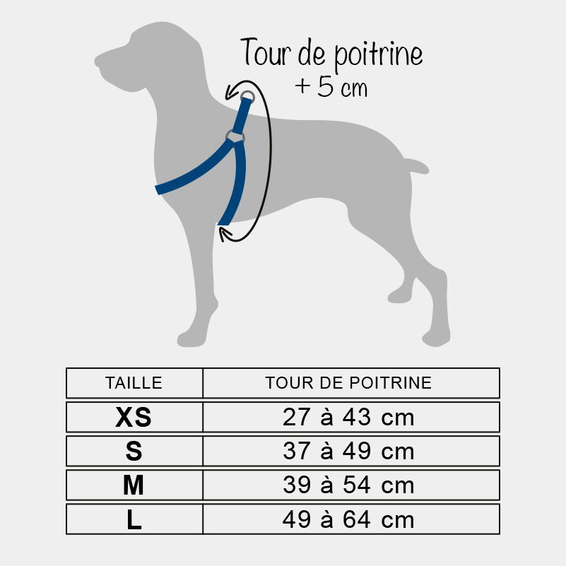 Guide des tailles harnais baudrier en H pour chien