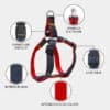 Harnais baudrier pour chien ou en H